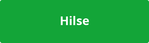 Hilse-8