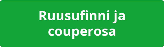 ruusufinni_ja_couperosa-8