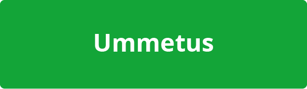 ummetus-8